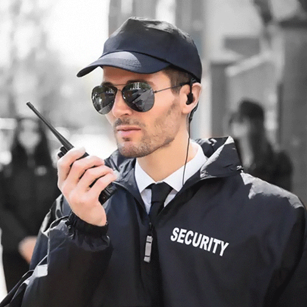 Art Security Solutions